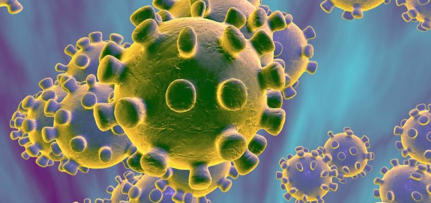 Educazione e Divulgazione Sanitaria sui Coronavirus