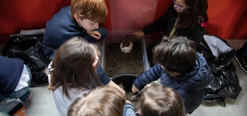 Bambini in viaggio nel tempo “Sulle tracce della preistoria” a Bitonto