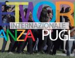 Il Teatro Traetta ospiterà anche l’ottava edizione del Network Internazionale Danza Puglia
